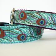Dog Collar - "Peacock"  in Shades of Aqua, Blue, and Purple (one inch wide)